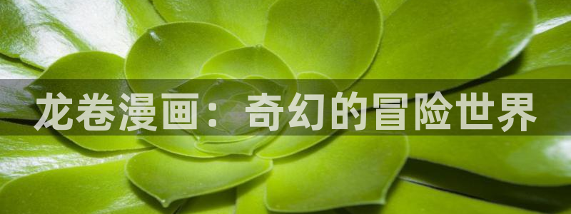 萌师在上奇漫屋漫画下拉式：龙卷漫画：奇幻的冒险世界