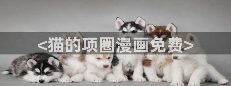 漫画奇漫屋：<猫的项圈漫画免费>